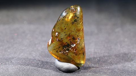 Modifizierter Bernstein