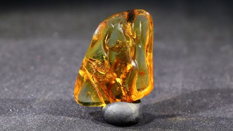 Modifizierter Bernstein