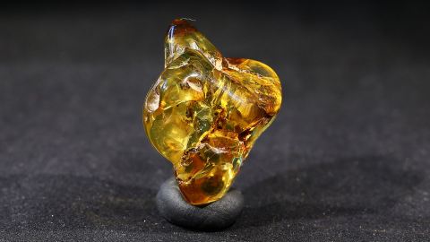 Bernstein geschliffen und poliert