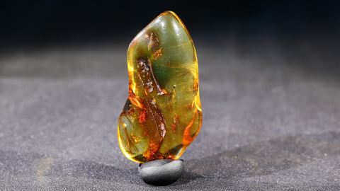 Modifizierter Bernstein