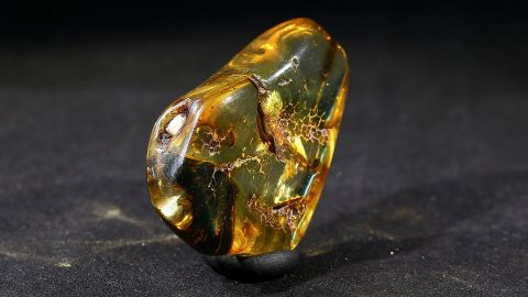 Bernstein geschliffen und poliert