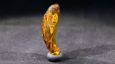 Modifizierter Bernstein