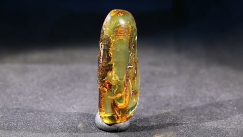 Bernstein geschliffen und poliert