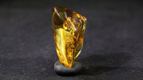 Bernstein geschliffen und poliert