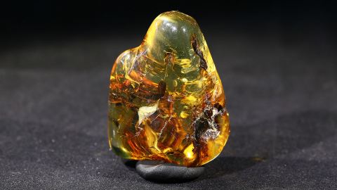 Modifizierter Bernstein