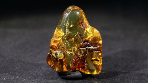 Bernstein geschliffen und poliert