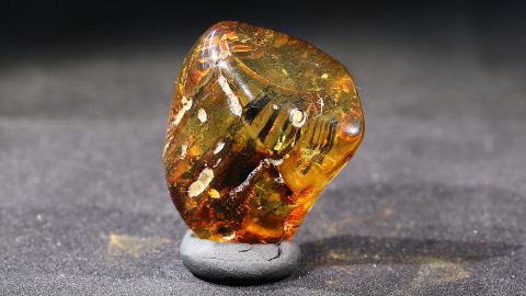 Modifizierter Bernstein