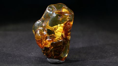 Modifizierter Bernstein