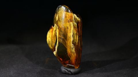 Modifizierter Bernstein