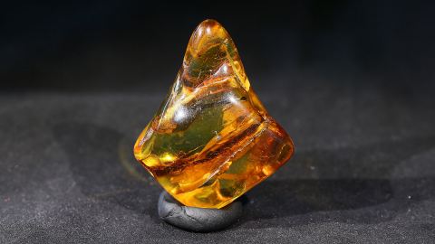 Modifizierter Bernstein