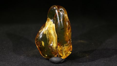 Modifizierter Bernstein