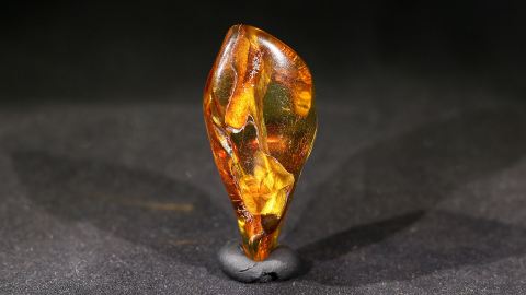 Modifizierter Bernstein