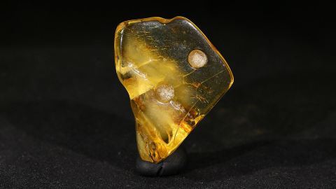 Geklärter Bernstein