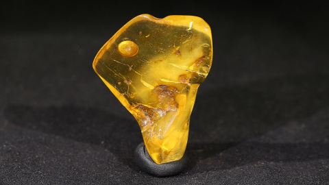 Bernstein modifiziert