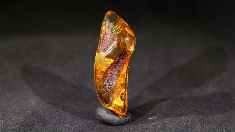 Modifizierter Bernstein