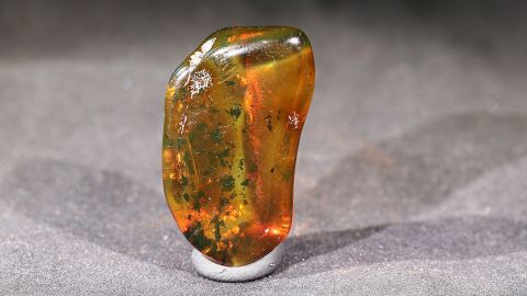 Modifizierter Bernstein