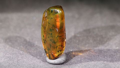 Geklärter Bernstein