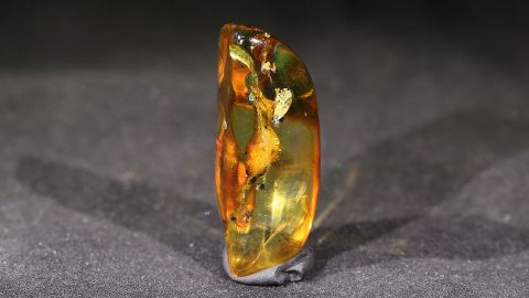 Geklärter Bernstein