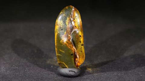 Bernstein modifiziert