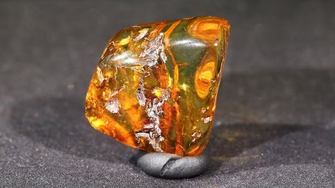 Modifizierter Bernstein