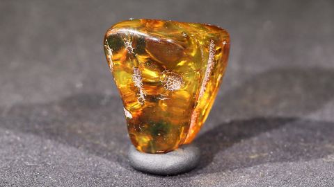 Geklärter Bernstein