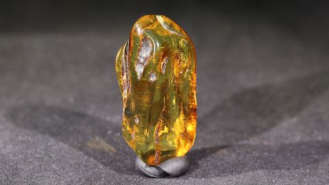 Modifizierter Bernstein