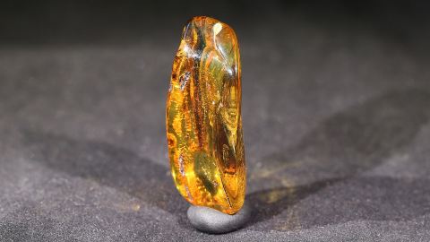 Geklärter Bernstein