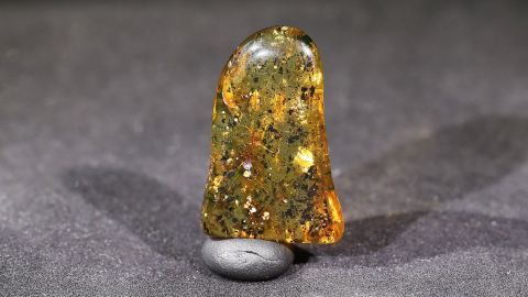 Bernstein geschliffen und poliert