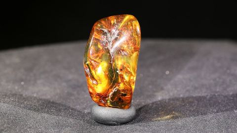 Modifizierter Bernstein