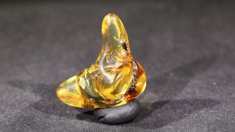 Modifizierter Bernstein