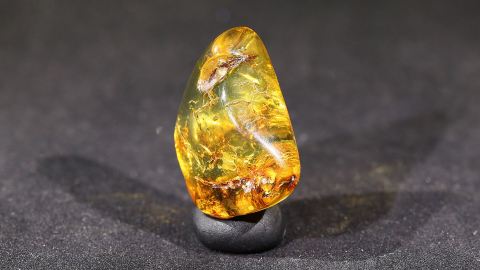 Geklärter Bernstein
