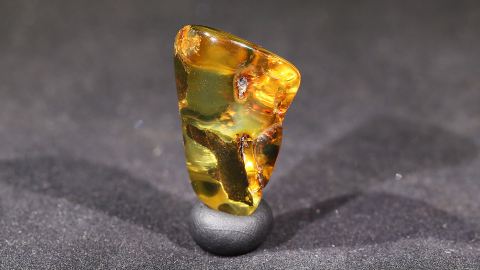 Bernstein modifiziert