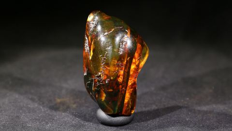 Modifizierter Bernstein