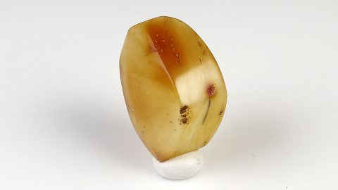 Baltischer Bernstein poliert