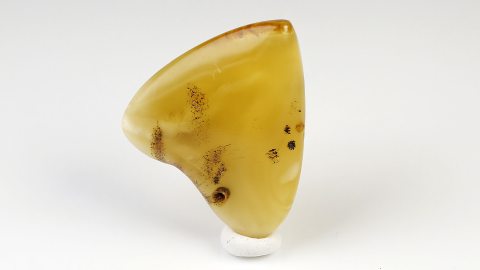 Naturbernstein, geschliffen und poliert