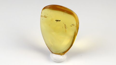 Baltischer Bernstein geschliffen