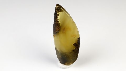 Naturbernstein von Hand geschliffen und poliert