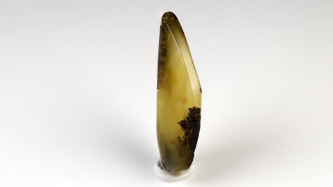 Baltischer Bernstein von Hand geschliffen