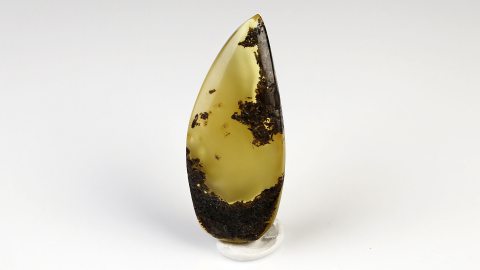 Naturbernstein poliert