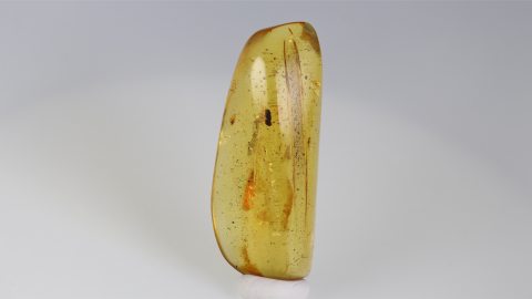 Naturbernstein poliert