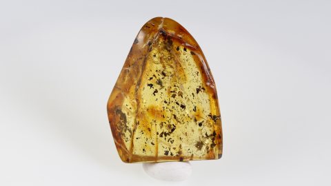 Naturbernstein poliert