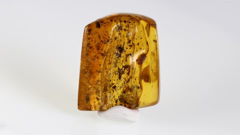 Baltischer Bernstein