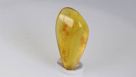 Naturbernstein geschliffen