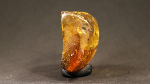 Bernstein honiggelb mit Inklusen