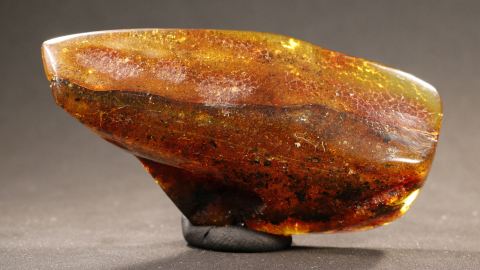  Bernstein honiggelb bis honigrot 