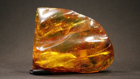 Bernstein mit Einschlüssen, Blatt