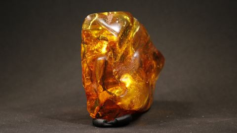 Bernstein mit Einschlüssen, Blatt