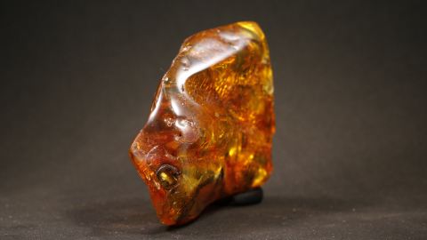 Bernstein mit Einschlüssen, Blatt