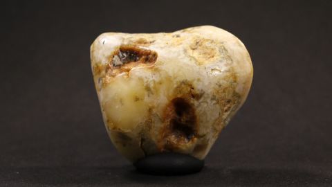 Bernstein weiß, weißer Bernstein