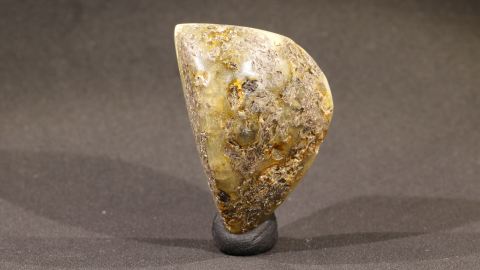 Bernstein mit Humuserde